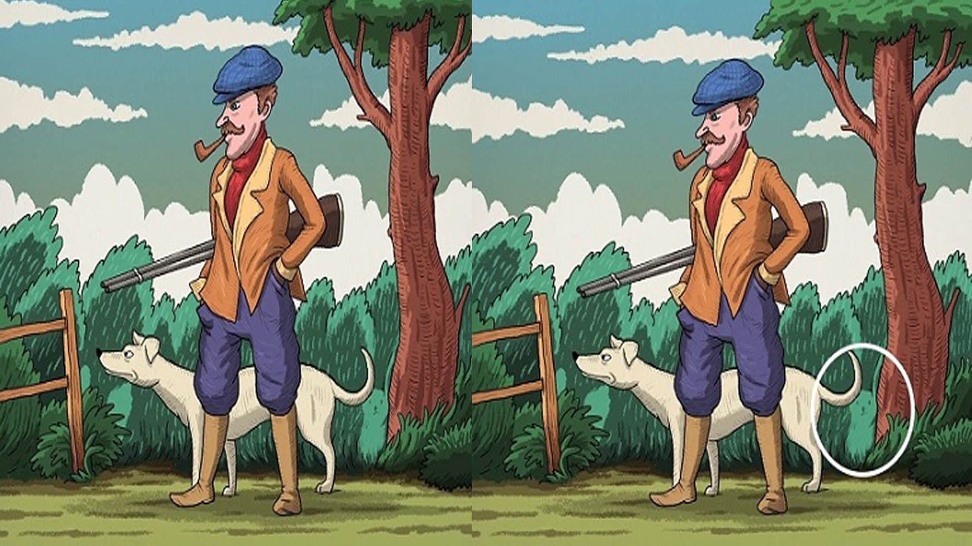 Viral Optical Illusion Photo: Find Out Hidden Rabbit from Picture in Five Seconds Illusion to Test Your Brain