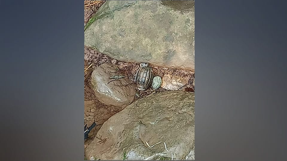 Grenade found in Poonch Bomb disposal squad defused
