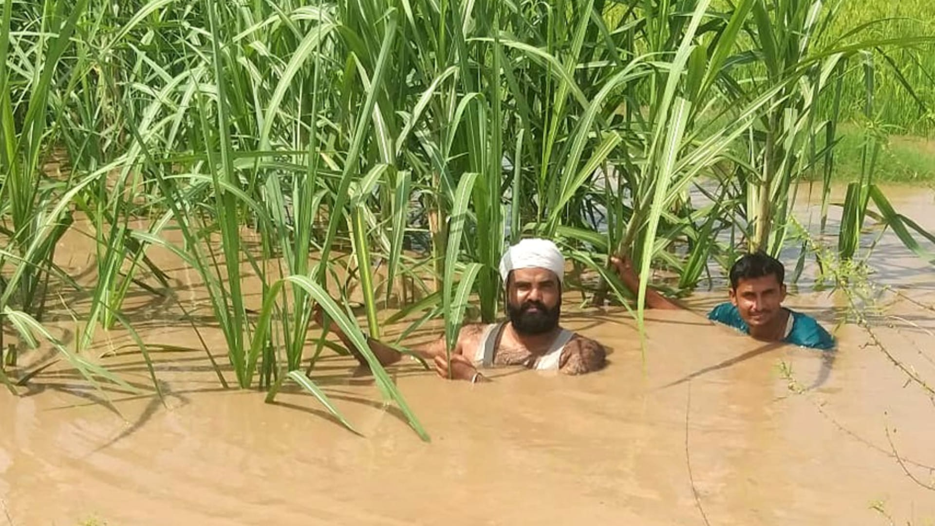 water level increase in Yamuna due to continuous rain in the mountains, water will reach Delhi in 72 hours