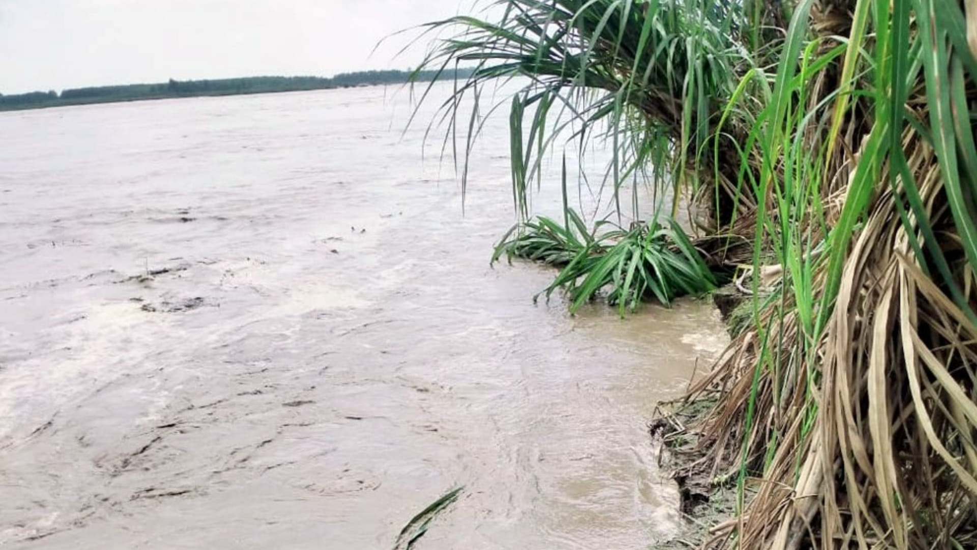 water level increase in Yamuna due to continuous rain in the mountains, water will reach Delhi in 72 hours