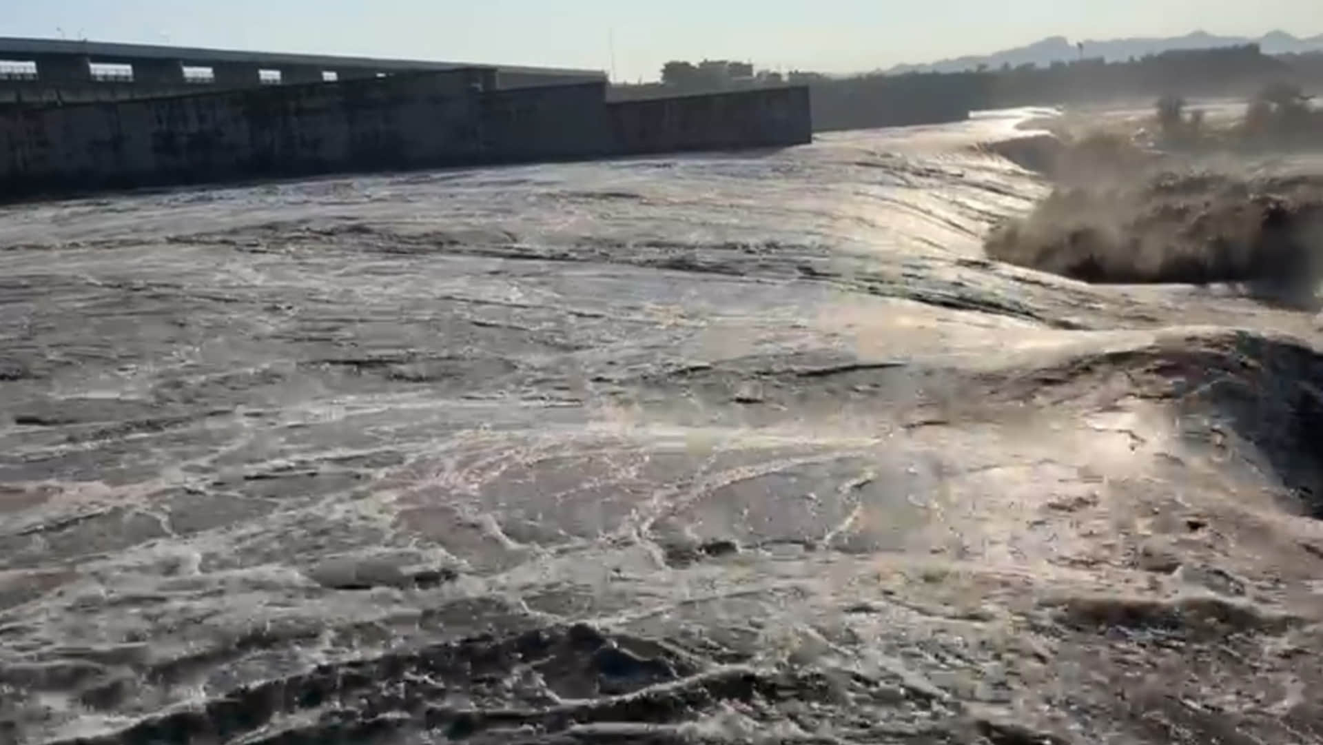 Yamuna's water level increased by 30 cm crops submerged in water Firozabad tundala news