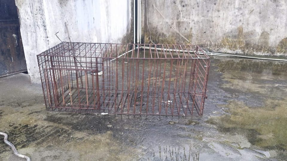Ankita Murder Case: Large cage and liquor bottles found on roof of vanantra resort Many secrets come