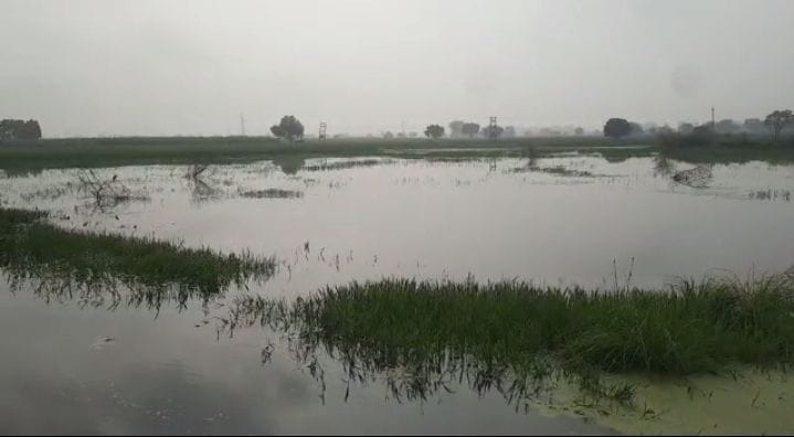 Rain water filled in 6 thousand acres of crop, extraction is being done from 117 pumpsets