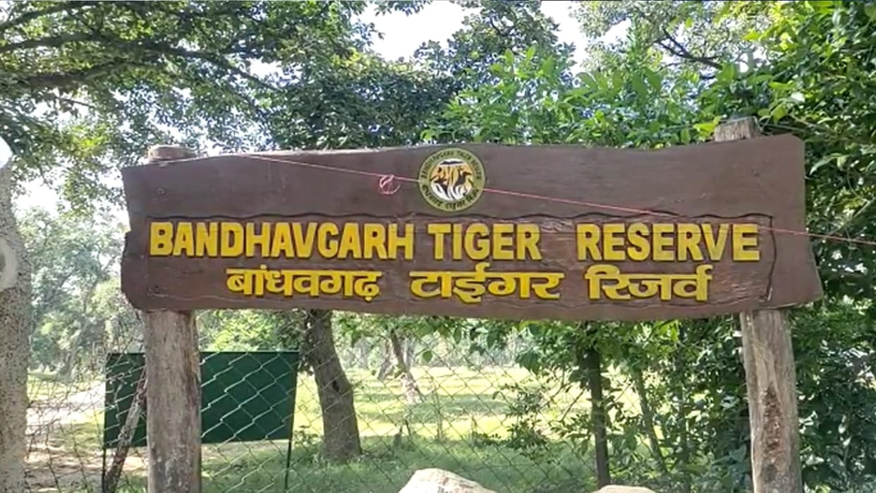 women guides will take tourists to Bandhavgarh National Park of madhya pradesh read more in hindi
