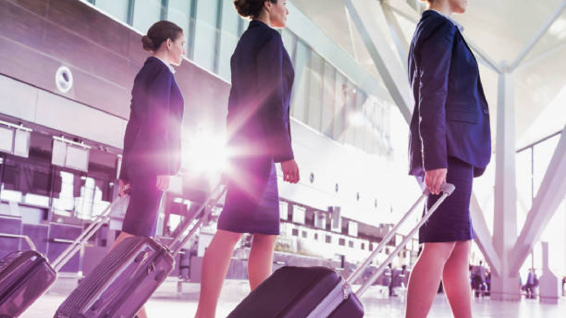Interesting Facts: Have you ever wondered what flight attendants carry in their Tiny bags