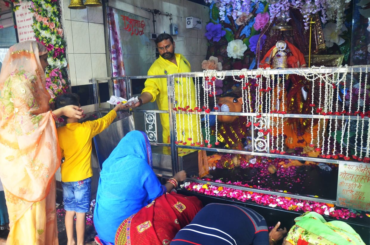 Shardiya Navratri: Hours and alligators resonated in homes and temples