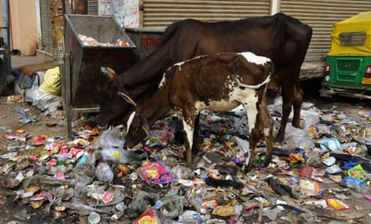 शहर में फैला कूड़ा। संवाद