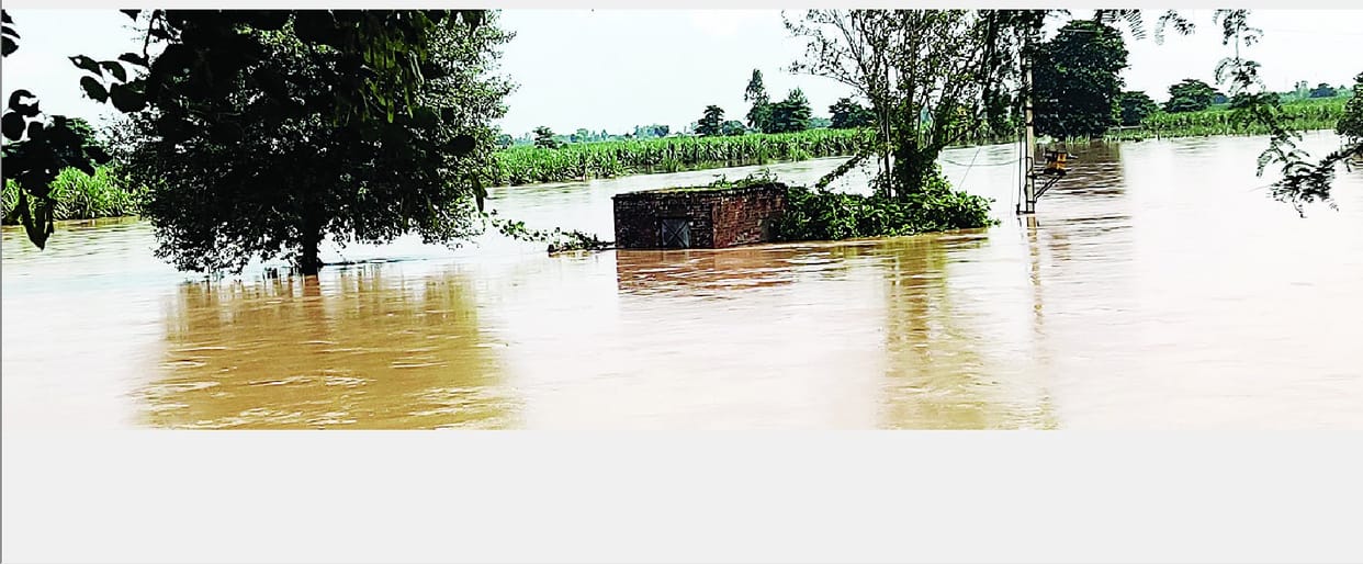 Yamuna in spate, hundreds of acres of crops of one and a half dozen villages submerged