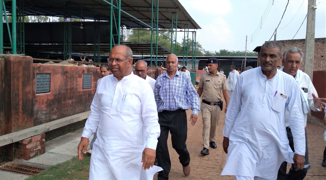 The voice raised to remove the possession from the cow lands