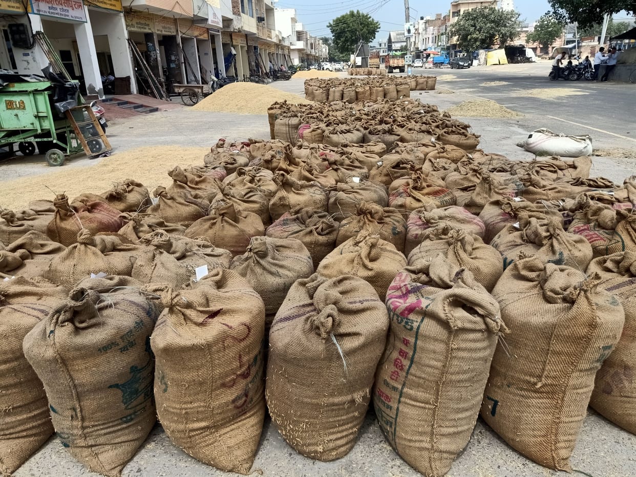Strike ends, PR paddy not sold due to wet