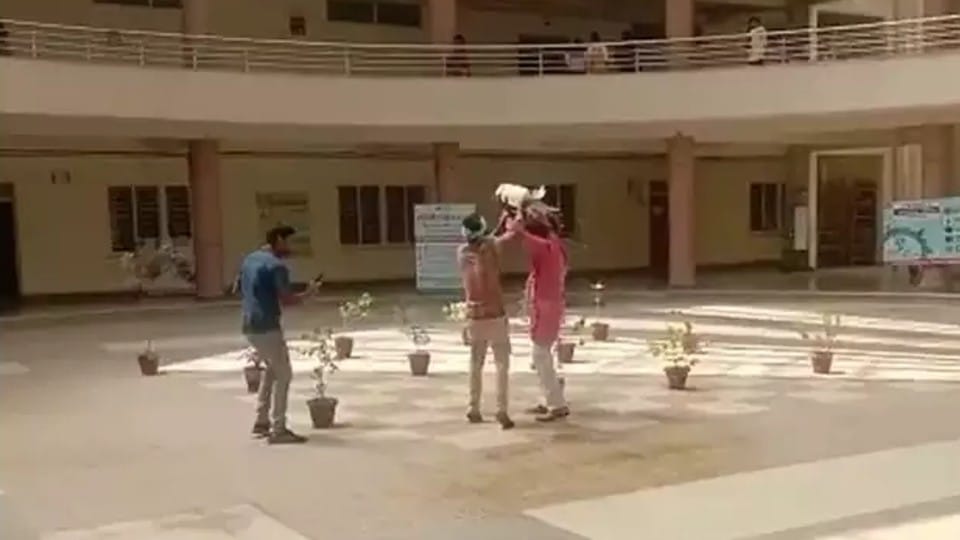 MP News: Youth attempted self-immolation in SP office