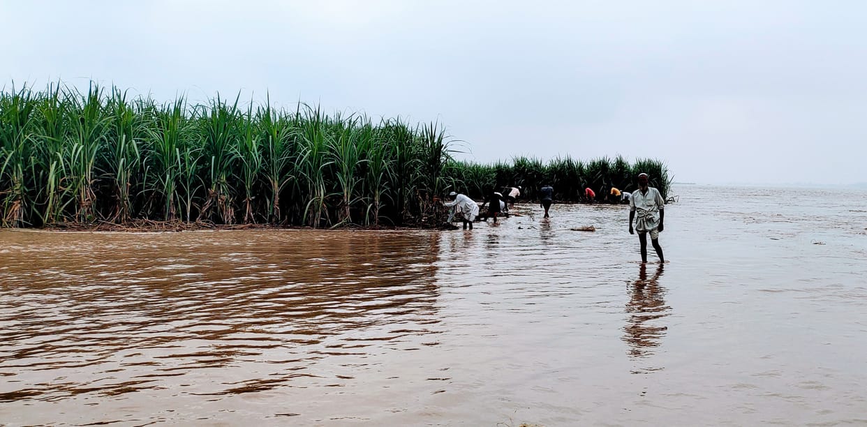 Hundreds of bigha crops submerged in Bhadi village