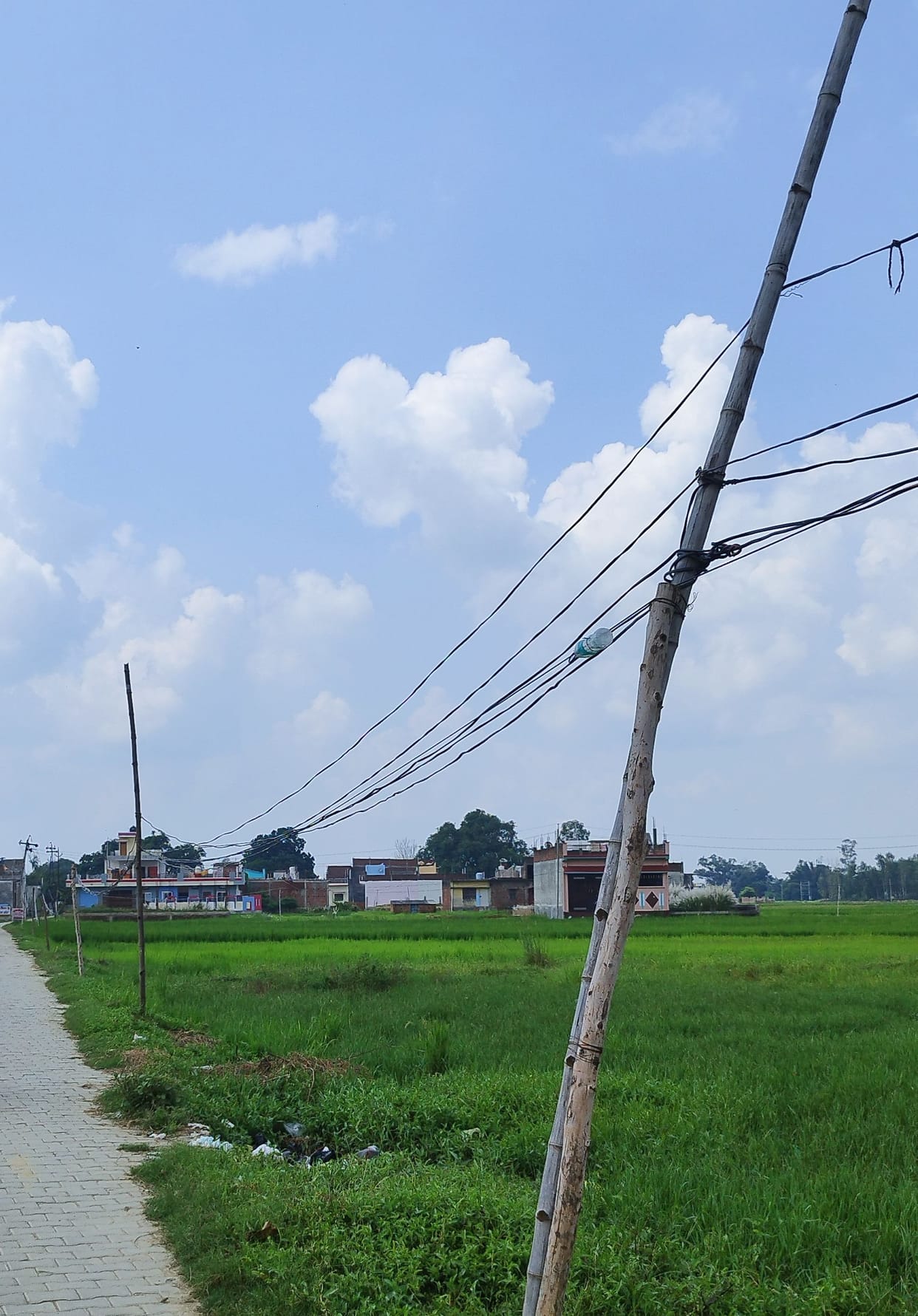 electric supply from village feader