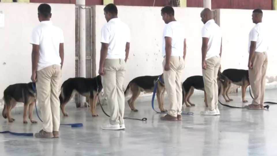 Dogs getting trained at to be deployed in Kuno National Park to protect cheetahs