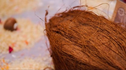 BHU scientists prepared food flavor from coconut coir will work as medicine in breast cancer