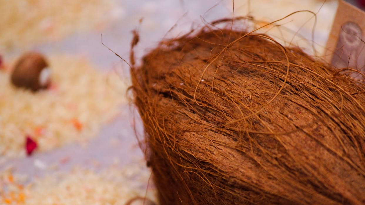 BHU scientists prepared food flavor from coconut coir will work as medicine in breast cancer