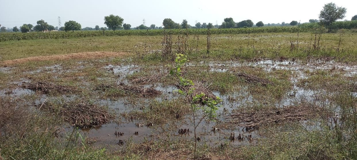 27 villages still flooded, diseases likely to spread