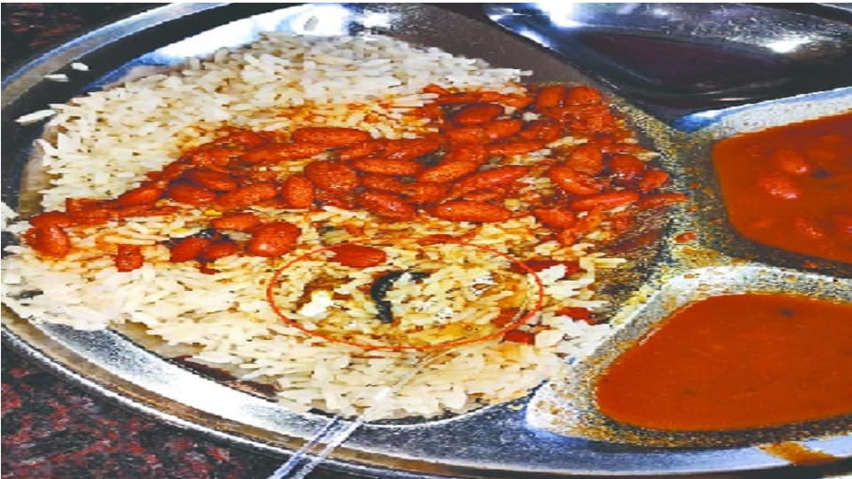 Insect in food of prestigious university: shortage of drinking water, students gave ultimatum to agitation