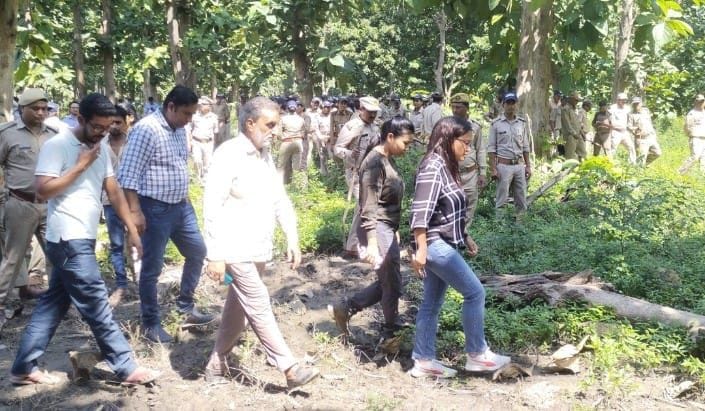 Jungle removed from forest land