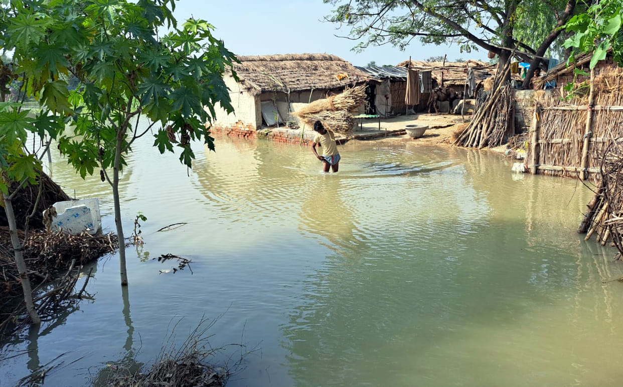 1200 bigha crop submerged due to harvesting in Rajbha