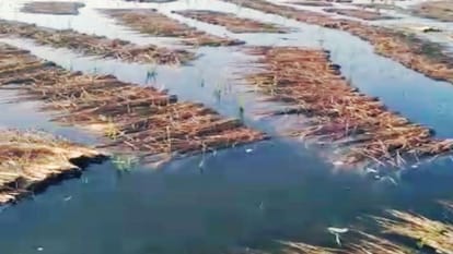 Yamuna Flood threat in the coastal areas of Mathura