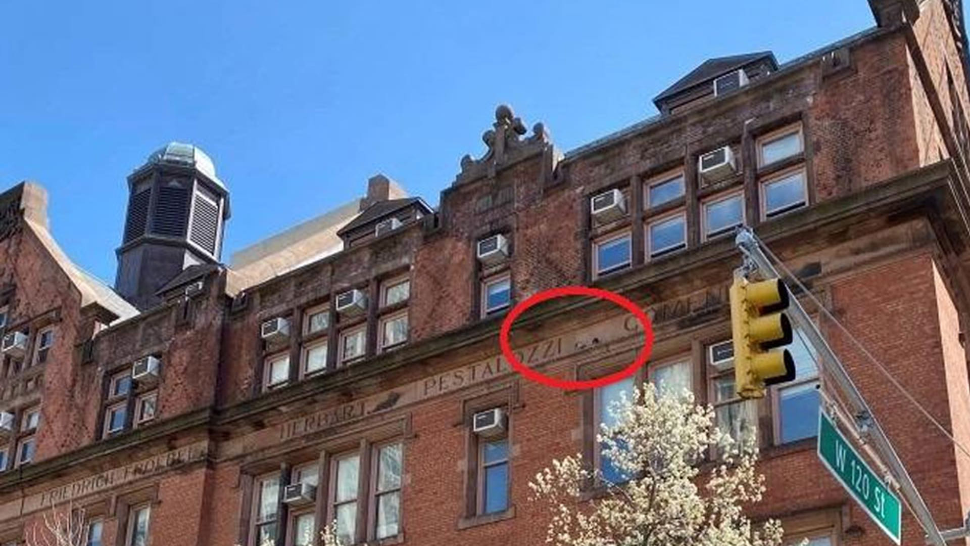 Optical Illusion Image: Find Out Two Hidden Birds from Viral Illusion Picture Check Your Brain IQ