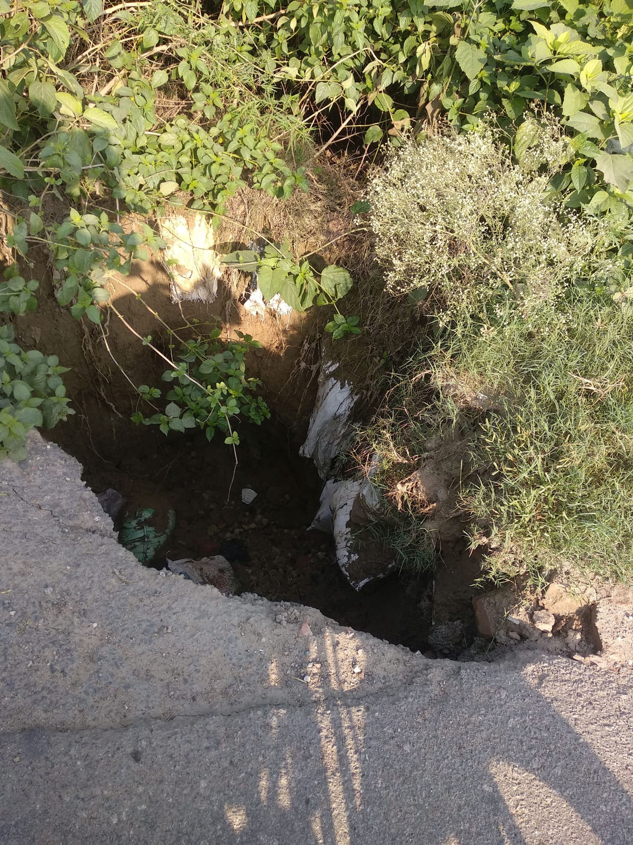 Dangerous paths feasting on accidents