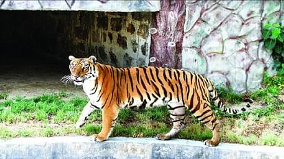 People will adopt wildlife of Delhi Zoo members can be made for a maximum of six lakhs and a minimum of Rs 700