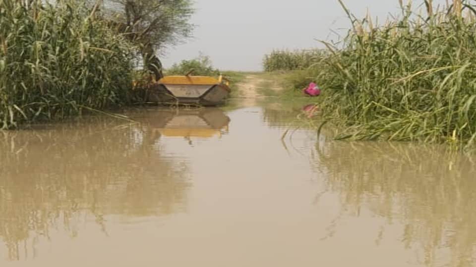 Yamuna's water level increased by 30 cm crops submerged in water Firozabad tundala news