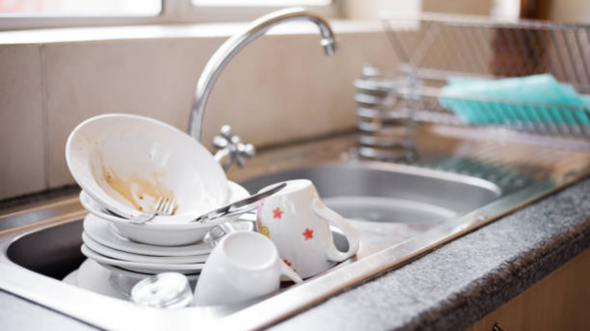 kitchen cleaning remove insects in sink with these home remedies
