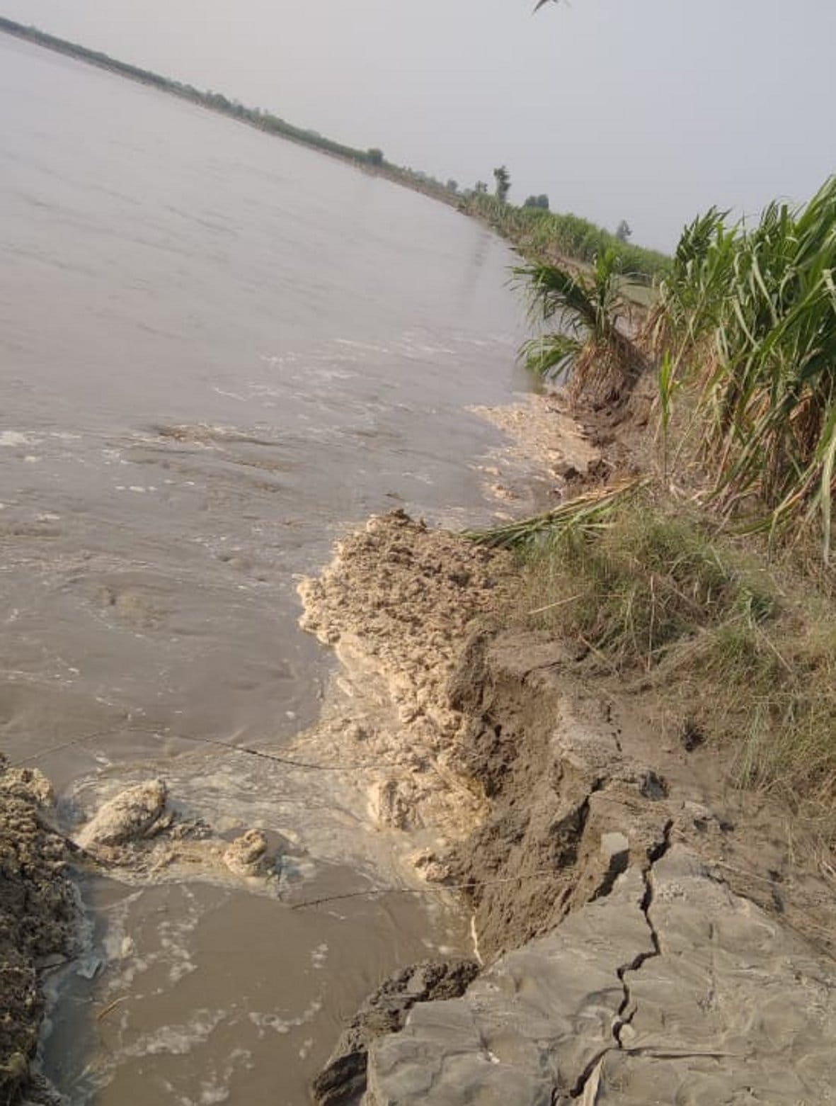 Yamuna's water level reduced by one meter, cutting on the banks