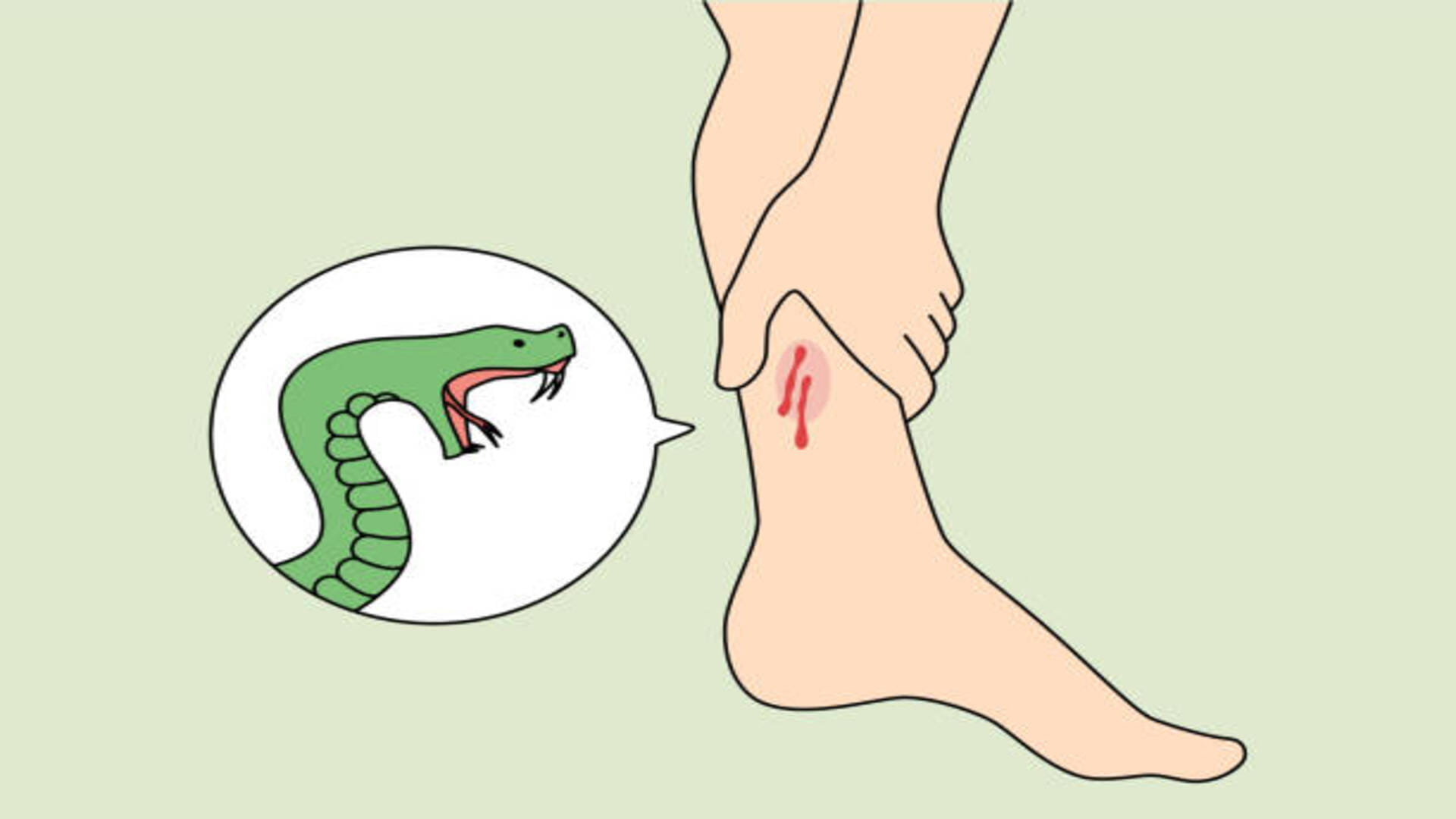Snake Bite In Dream Meaning Hindu Astrology Sapne Mein Saanp Katne Ka Matlab In Hindi