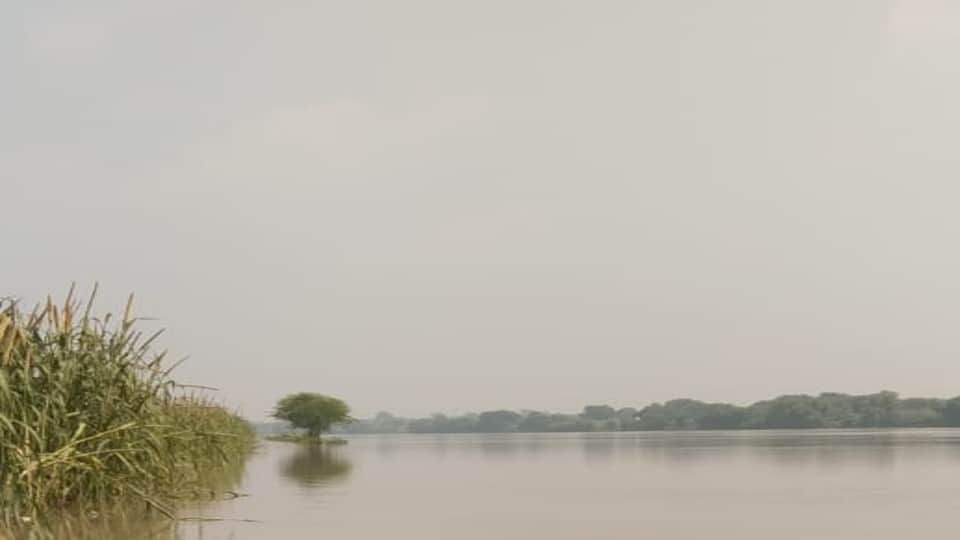 Yamuna's water level increased by 30 cm crops submerged in water Firozabad tundala news