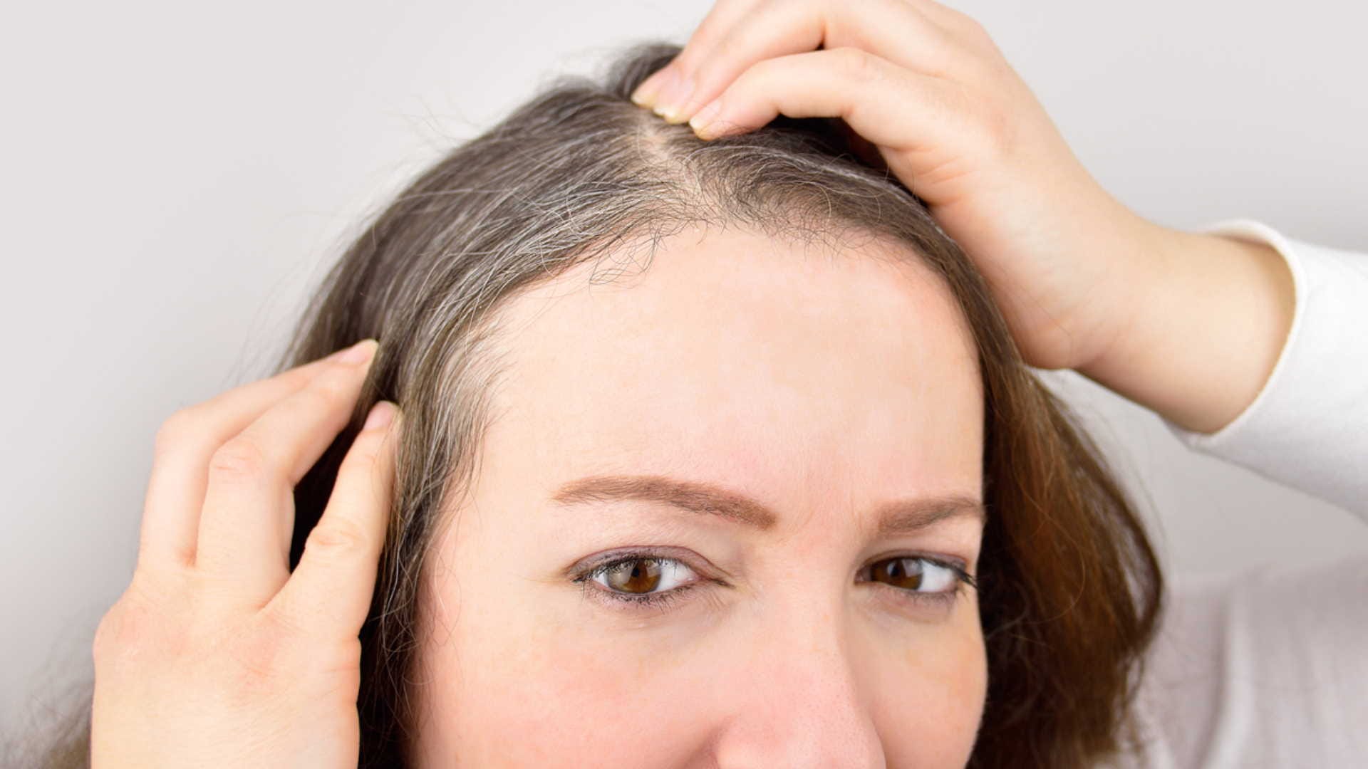 get black hair naturally with indigo powder method how to use