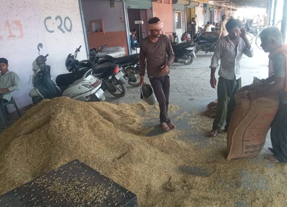 Hathras: Expensive rice will reach the common man's plate