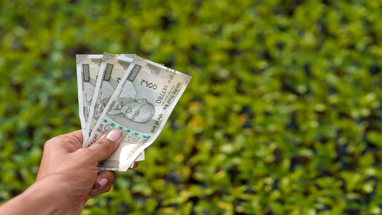 PM Kisan Samman Nidhi 13th Installment Status Check Step by Step Process in Hindi