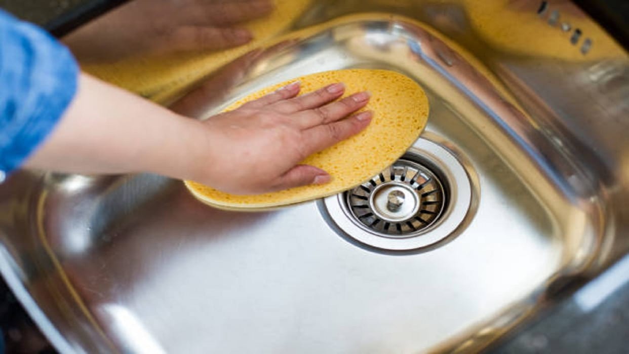 kitchen cleaning remove insects in sink with these home remedies