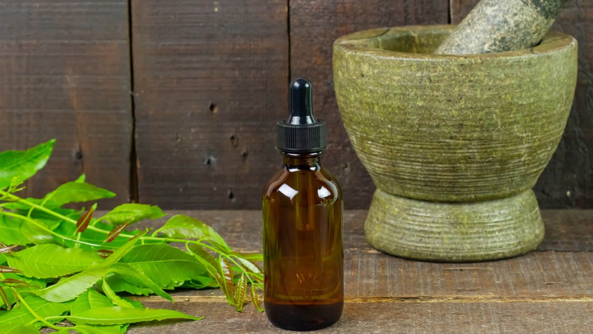 kitchen cleaning remove insects in sink with these home remedies