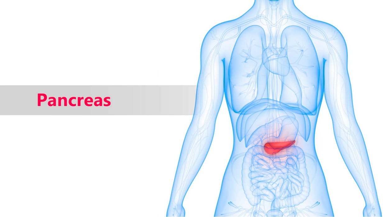 Yoga Asanas for Diabetes and Digestion System, how to keep pancreas healthy