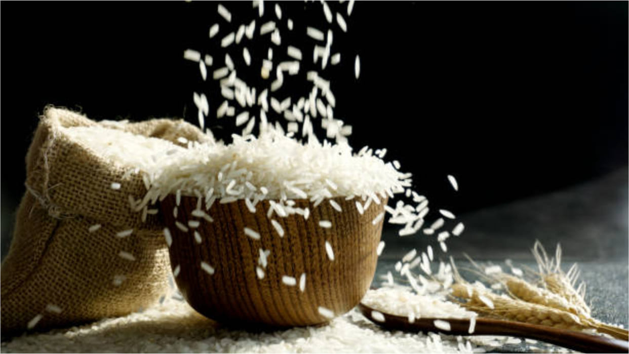 India raises issues related to agriculture sector and rice export with UAE