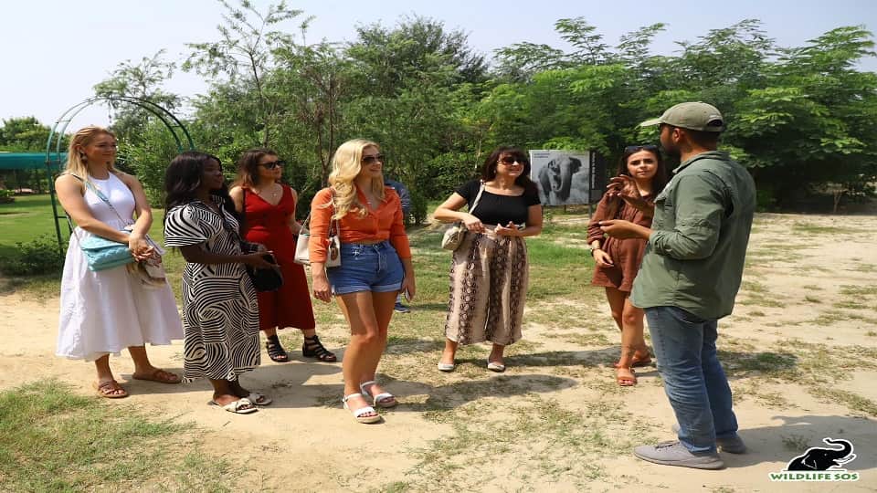 Miss Universe Great Britain 2022 Noki Simbani visits Wildlife SOS's Elephant Conservation and Care Center