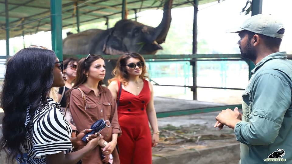Miss Universe Great Britain 2022 Noki Simbani visits Wildlife SOS's Elephant Conservation and Care Center