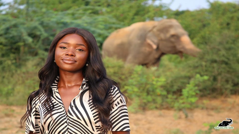 Miss Universe Great Britain 2022 Noki Simbani visits Wildlife SOS's Elephant Conservation and Care Center
