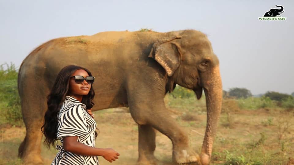 Miss Universe Great Britain 2022 Noki Simbani visits Wildlife SOS's Elephant Conservation and Care Center