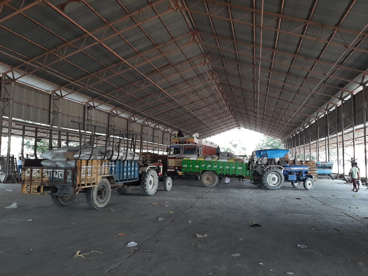 Moisture content in bajra found to be more than 14 percent, color also matmela, no government procurement