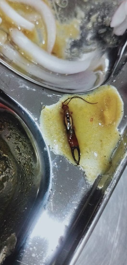 Cockroach in food of government medical college Boys Hostel mess photo went viral