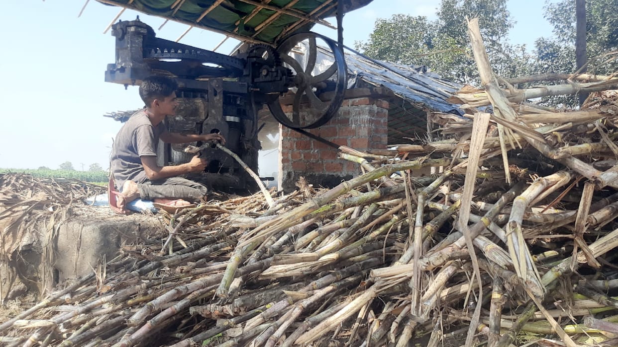 Crusher started: New jaggery started being made,Bijnorjaggery famous across every corner of the country