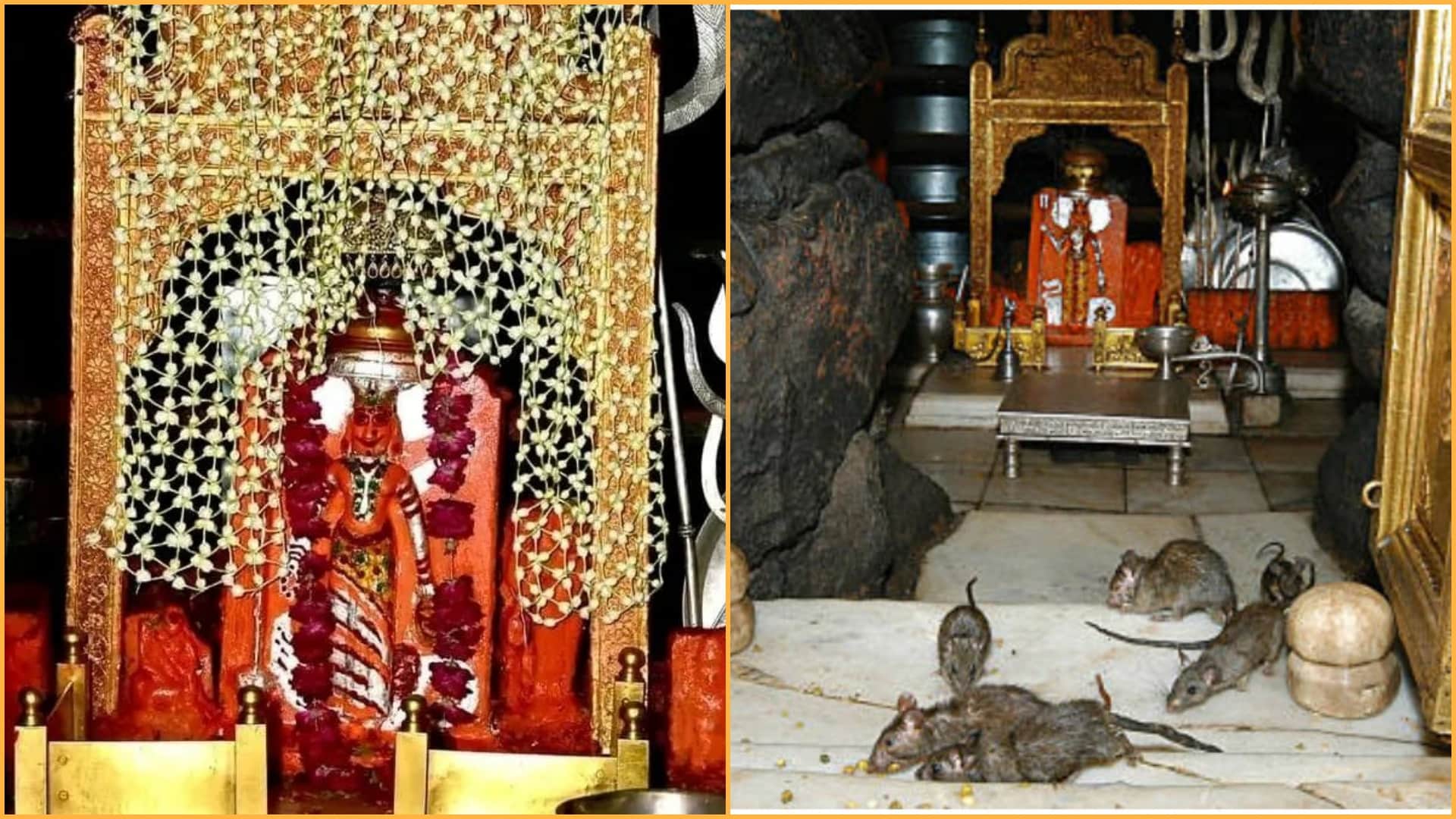 Navratri 2022 facts about Karni Mata Temple Bikaner of Rajasthan