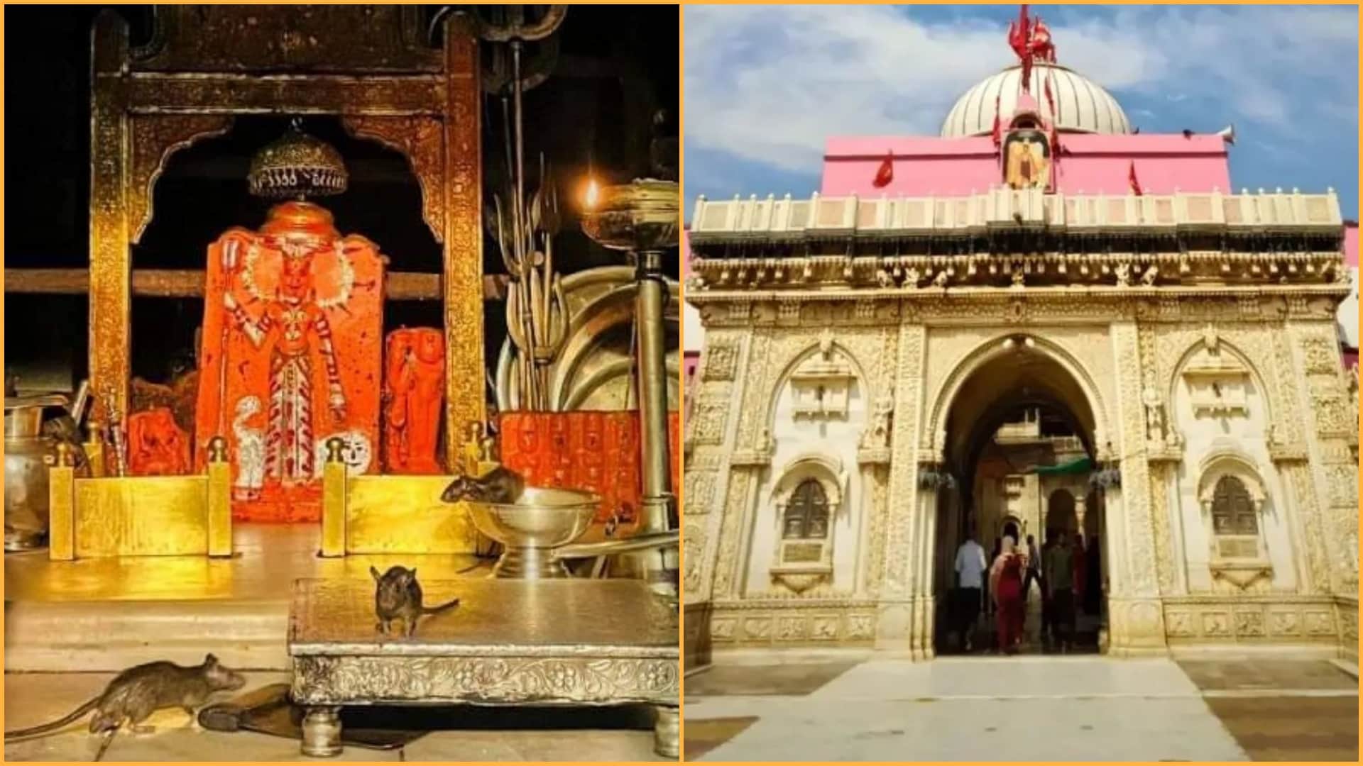 Navratri 2022 facts about Karni Mata Temple Bikaner of Rajasthan