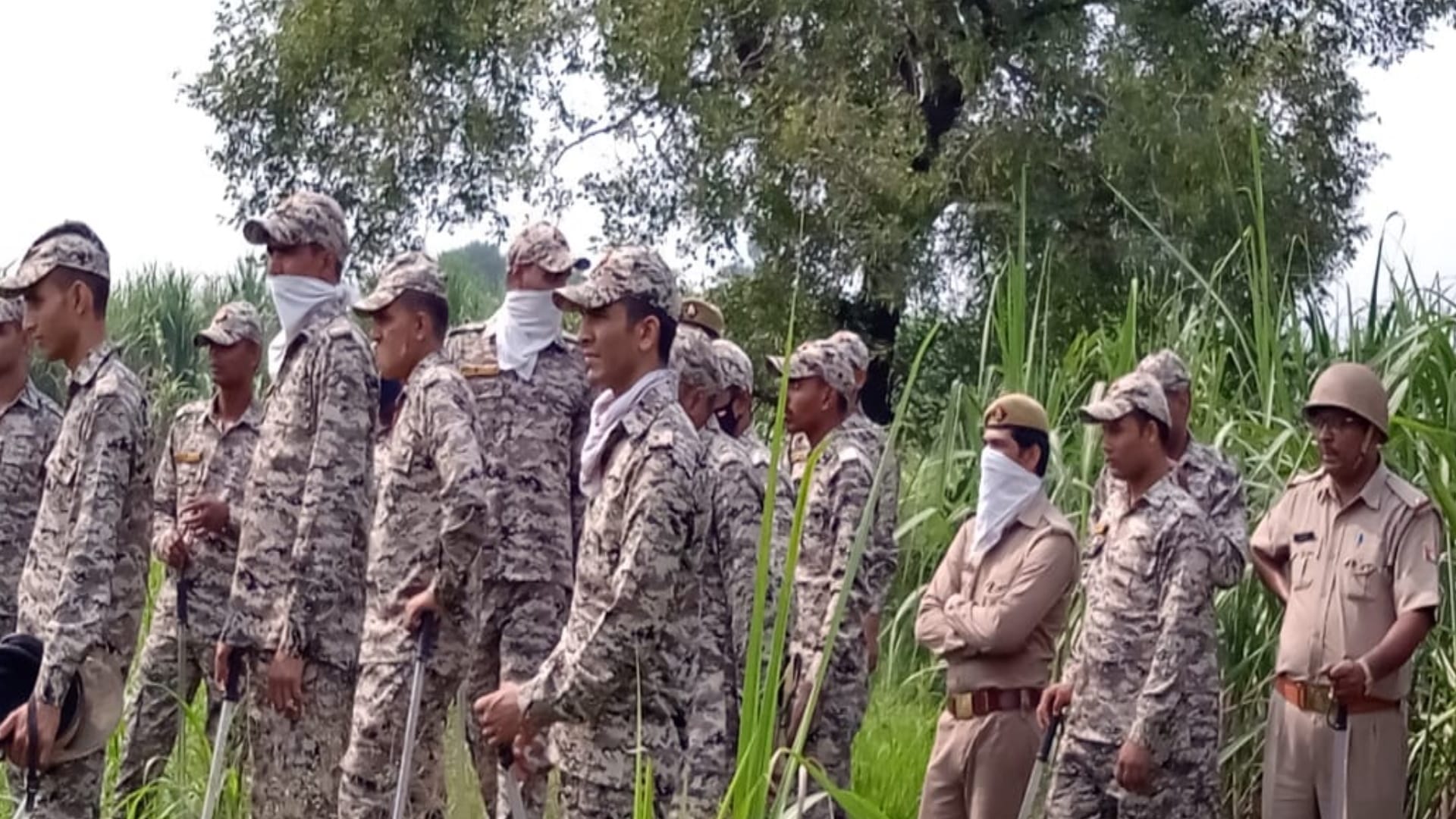 Search for beheaded head: Hundreds of people interrogated in four days